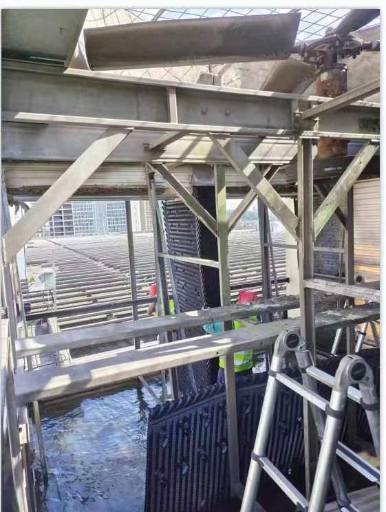 金光佛香港资料