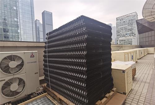 金光佛香港资料