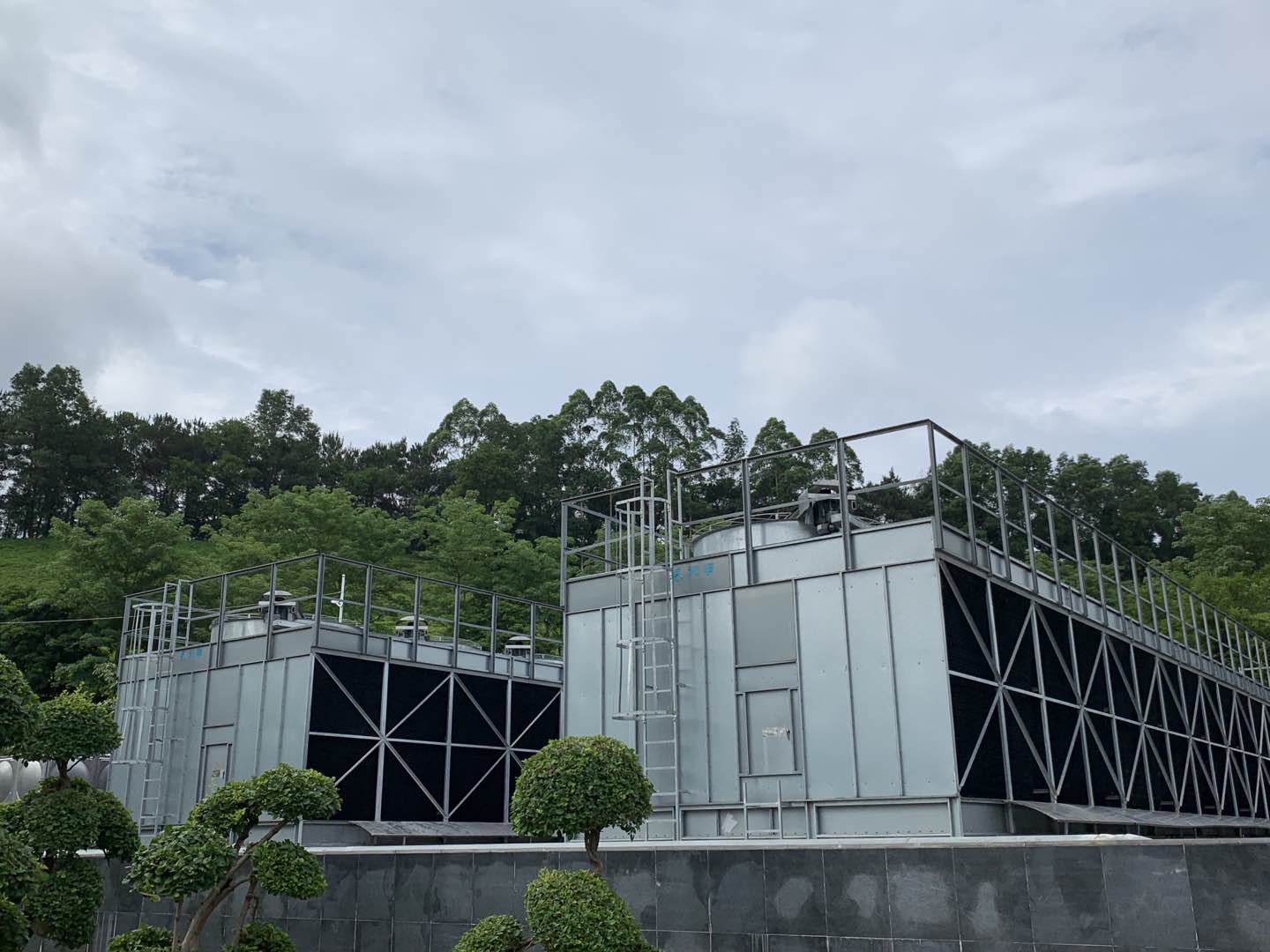 金光佛香港资料