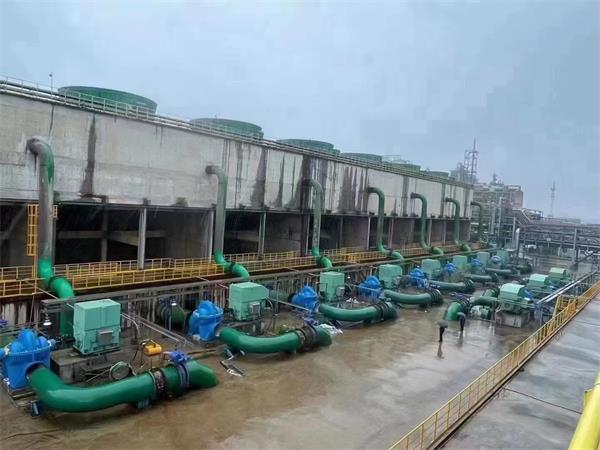 金光佛香港资料