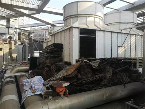 金光佛香港资料