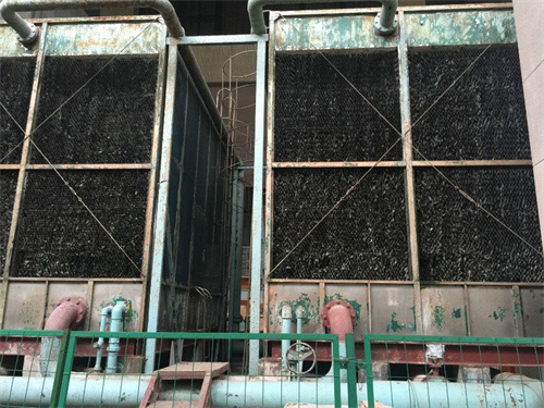 金光佛香港资料