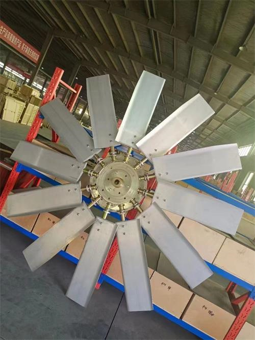 金光佛香港资料