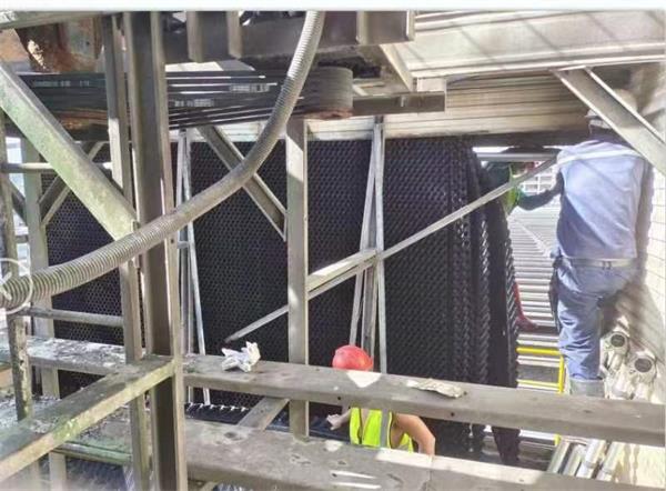 金光佛香港资料